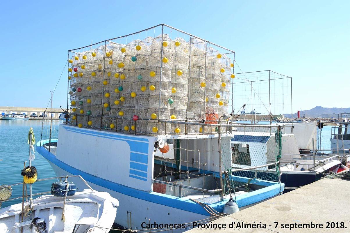 12 CARBONERAS - PROVINCE D ALMERIA 7 09 2018 (8).JPG